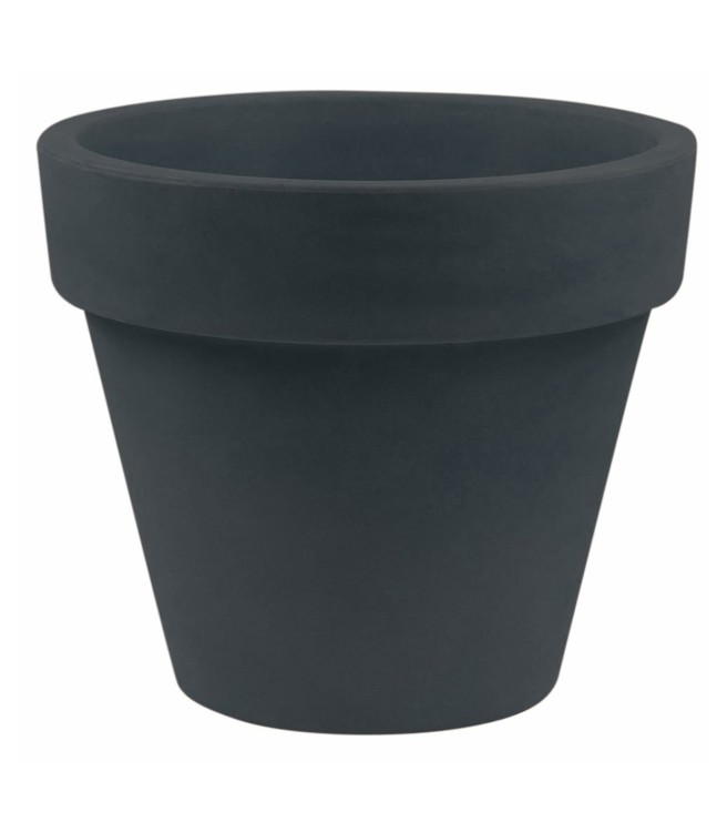 23906