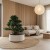donice-na-wymiar-do-bonsai-premium.jpg