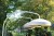 lampa-disc-fs5.jpg