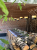 lampy-glow-heatsail7.png