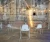 ALLinphotos6-1.webp