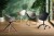 Krzesło obrotowe Incasso na kółkach Vondom w aranżacji producenta