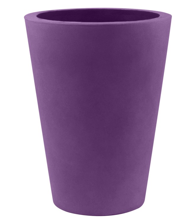 24195