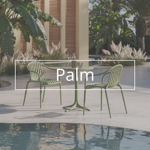 kolekcja palm