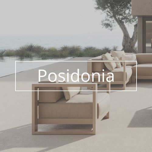 kolekcja posidonia